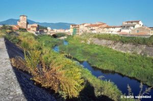 campi_bisenzio366_26
