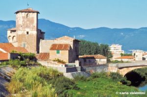 campi_bisenzio366_27