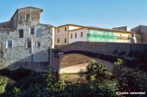 campi_bisenzio366_35