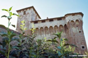 campi_bisenzio366_38