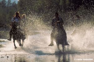 casciano_di_murlo1011_39