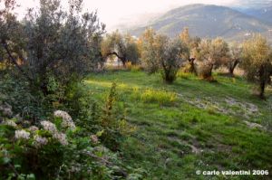 case_san_romolo1