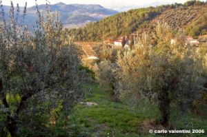 case_san_romolo2