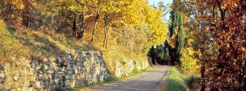 casentino100_412
