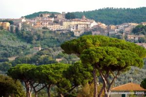 castagneto_carducci1