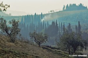 castel_del_nero331_09