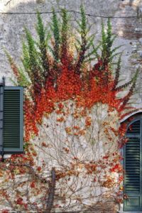 castel_del_nero861120a69