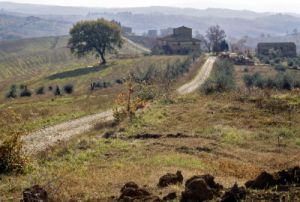 castel_del_nero861124a69