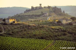 castelgreve306_44