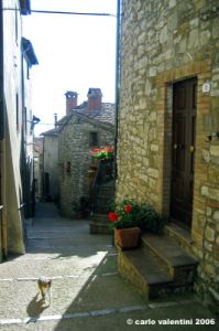 castellazzara052