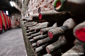 castello_del_trebbio13