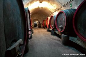 castello_del_trebbio17