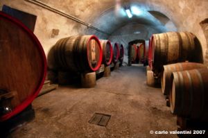 castello_del_trebbio23
