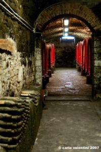 castello_del_trebbio38