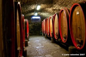 castello_del_trebbio41