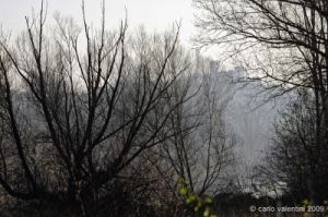 castello_incisa023