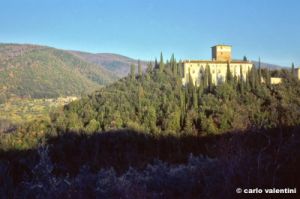 castello_mugnana938_03