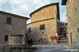 castello_volpaia990_41