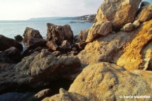 castiglioncello950_25