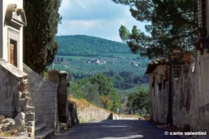 chianti887_36