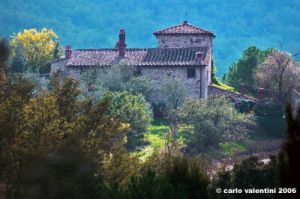 chianti_albola02
