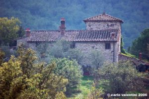 chianti_albola04