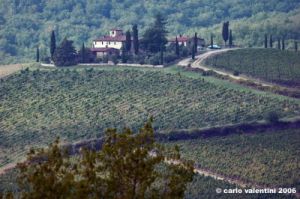 chianti_albola05