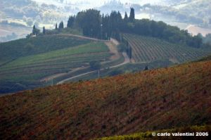 chianti_albola07