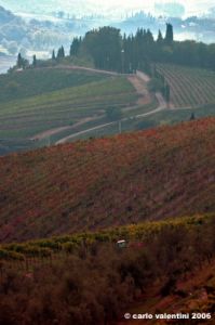 chianti_albola08