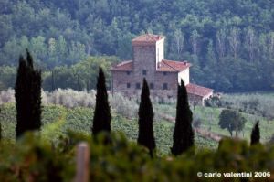 chianti_albola09