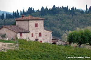 chianti_vistarenni3