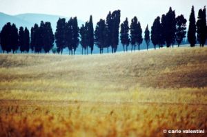 santa_luce619_31