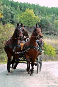 civitella_belagaio037