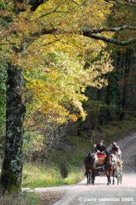 civitella_belagaio066