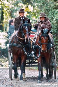 civitella_belagaio077