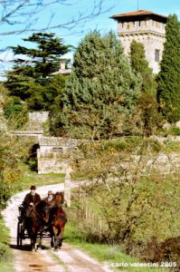 civitella_belagaio105