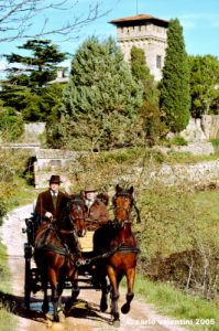 civitella_belagaio107