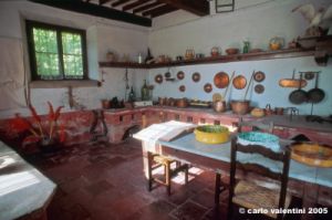 collodi713_12