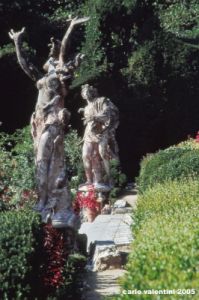 collodi713_21