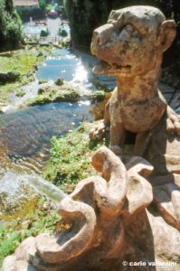 collodi713_46