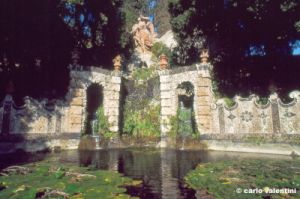 collodi713_47