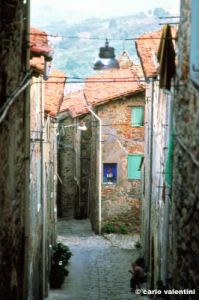 collodi81_28