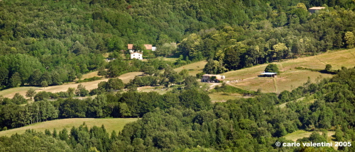 cornacchino23