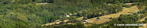 cornacchino2425
