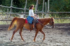cornacchino_doris5