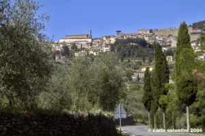 cortona01