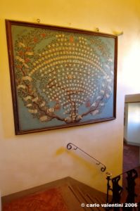 cortona46