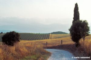 cupi986_49