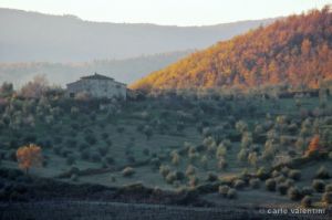 doccia508_11