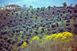 doccia744_07